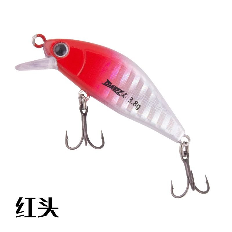 Bitterling Minnow color variant 1