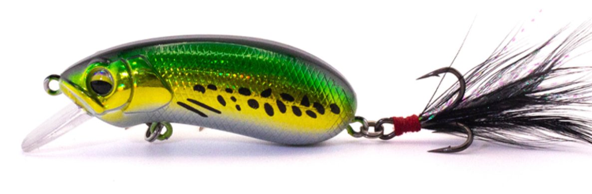 CC50 color variant 1