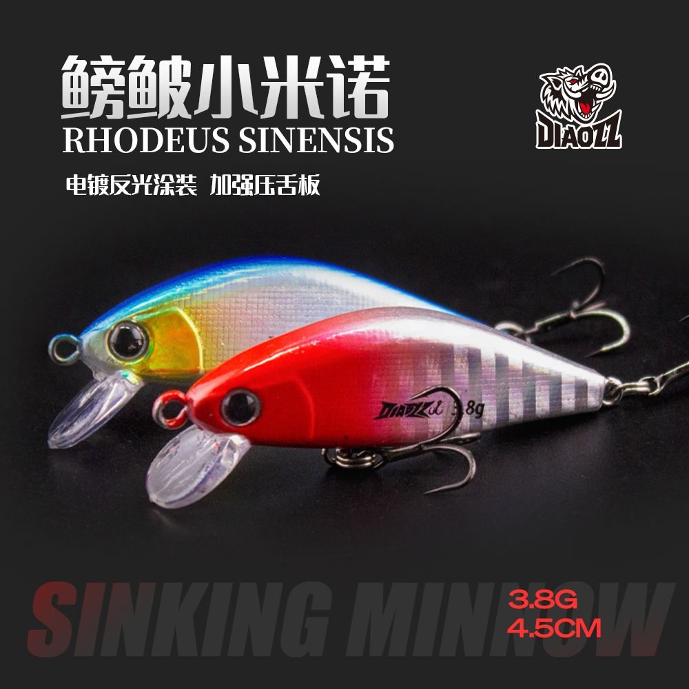 Bitterling Minnow